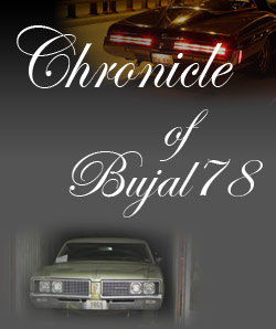 Chronicle of Bujal78